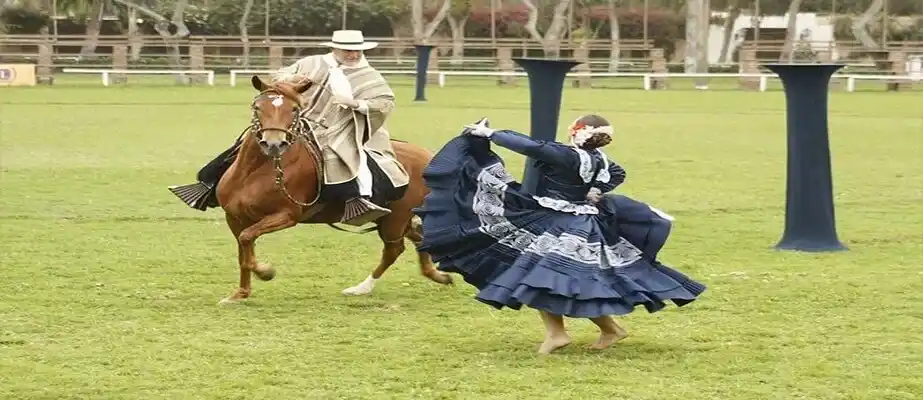 Show de Caballos de Paso Peruano